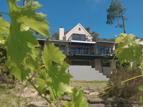 BestPlaceEver - Luxury House with Vineyard Views
